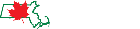 mass maple